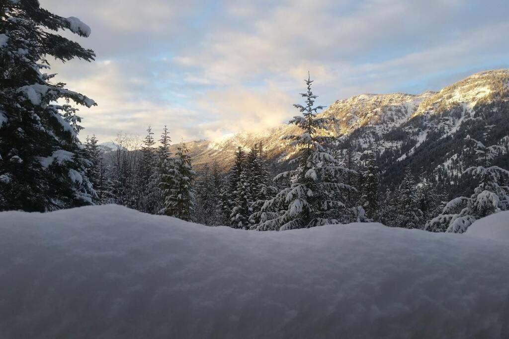 Hot Tub Cool Views: Roaring Creek Cabin Leavenworth Exterior photo